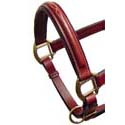 Halters